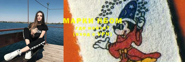 скорость Щигры
