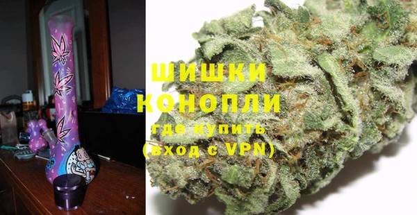 дживик Щучье
