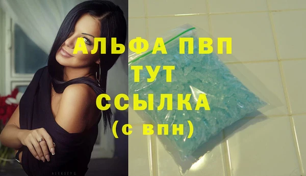 дживик Щучье