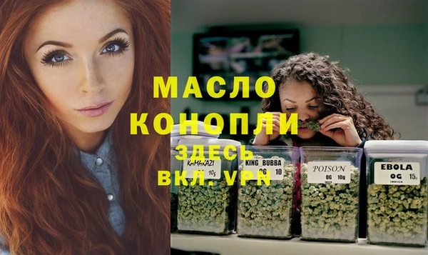 соль ск Тайга