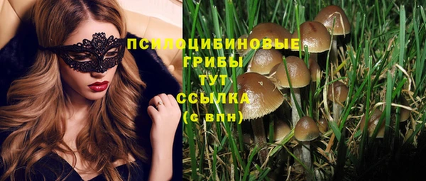 дживик Щучье