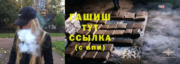 скорость Щигры