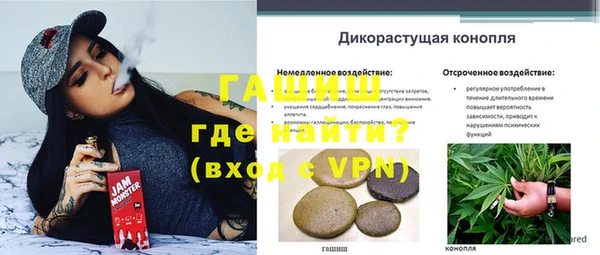 дживик Щучье