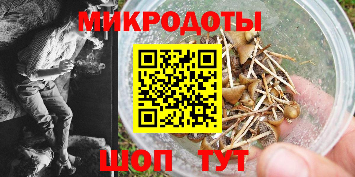 Псилоцибиновые грибы Psilocybe  Галлюциногенные грибы MAGIC MUSHROOMS  Александров 
