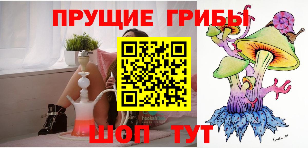 Александров  Псилоцибиновые грибы прущие грибы  Вход с VPN 