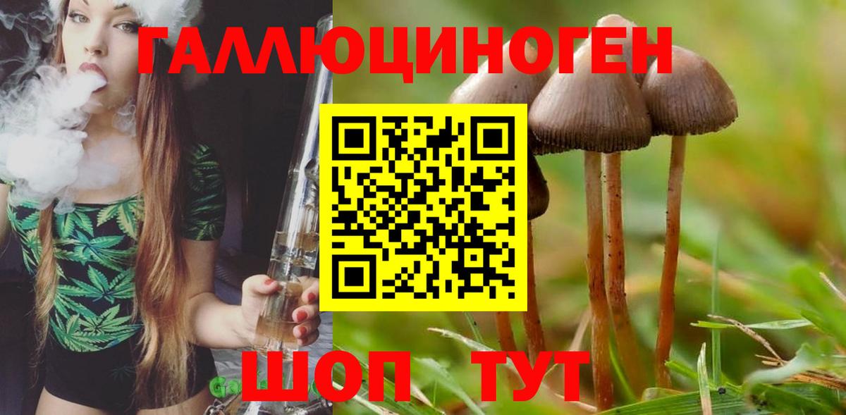 ГАШИШ Александров