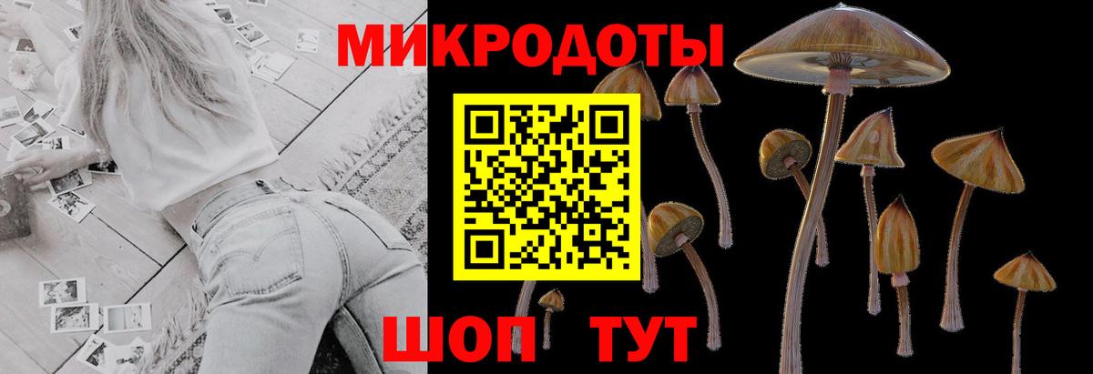 Галлюциногенные грибы Cubensis Александров